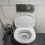 Que peut-on utiliser pour déboucher ses toilettes