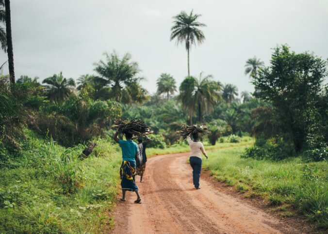 l'Afrique